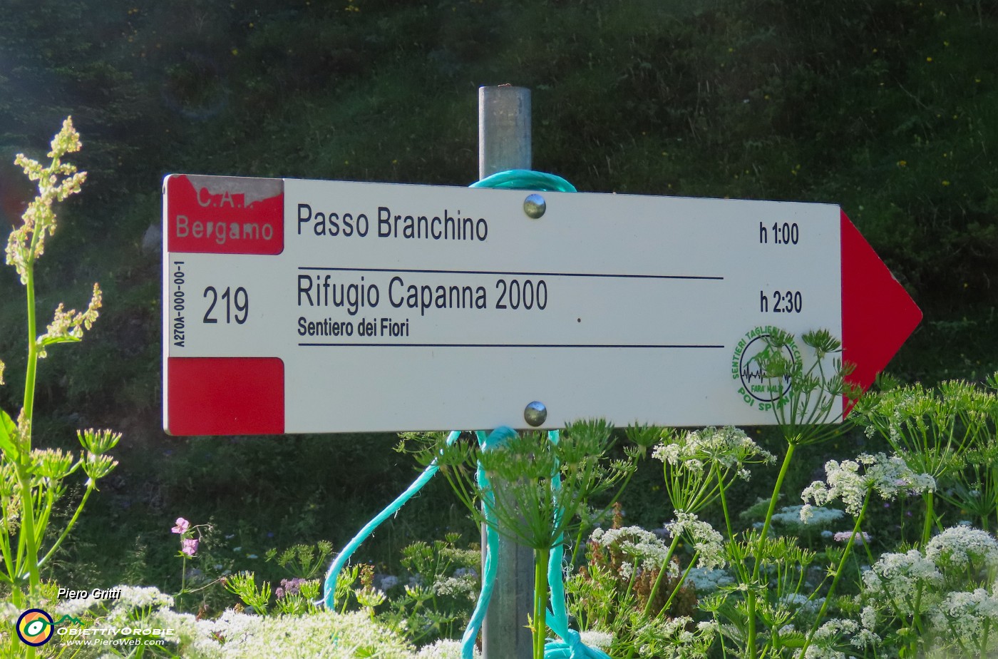 04 Sentiero 219 per Passo-Lago Brenchino.JPG